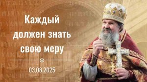 Христос в нас победил! Проповедь о. Андрея Лемешонка 3 августа (воскресенье) 2025 г.