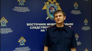 Пилот посадил вертолет на вулкане Крашенинникова на Камчатке и умер