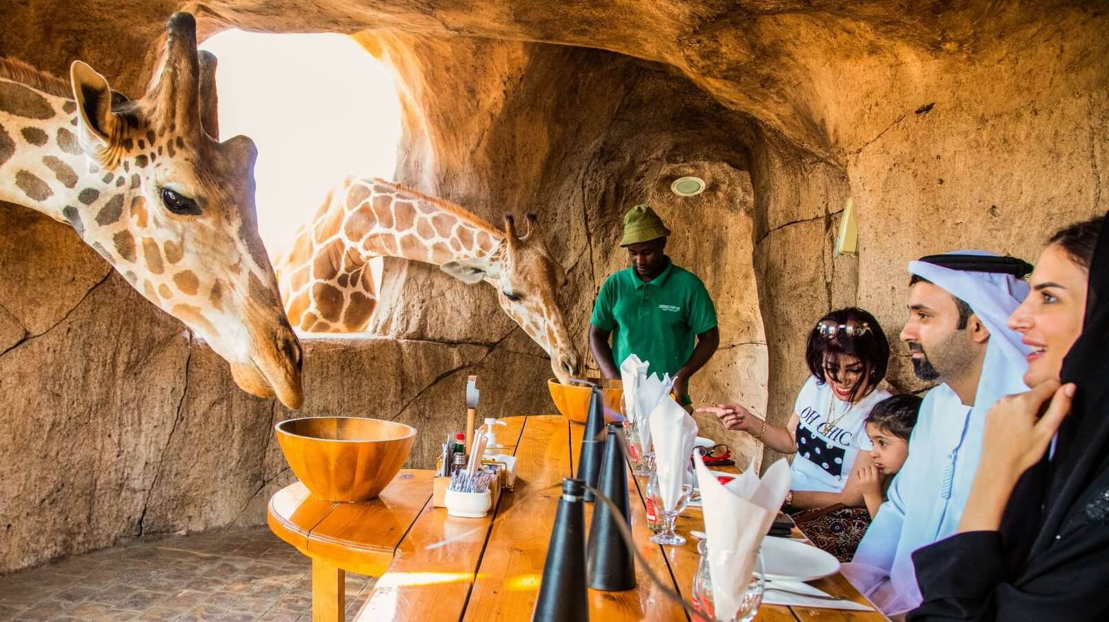 Emirates park zoo самый лучший и любимый зоопарк в арабских эмиратах в Абу Даби.