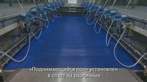Доильный зал ПАРАЛЛЕЛЬ от Milkline - Ваша корова достойна лучшего!