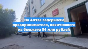 На Алтае задержали предпринимателя, похитившего из бюджета 56 млн рублей