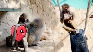 СТАРОЕ! НОВОЕ! Не опять, а снова! Какое положение у Люси в семье СЕГОДНЯ, ЗАВТРА и через НЕДЕЛЮ!