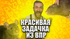 ВНЕЗАПНО КРАСИВАЯ ЗАДАЧКА ИЗ ВПР! БЫВАЕТ И ТАКОЕ!