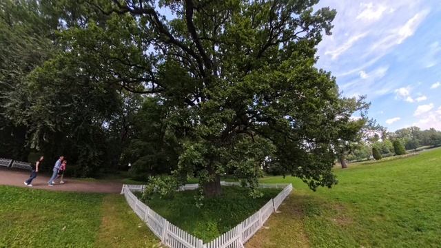 Елагин остров