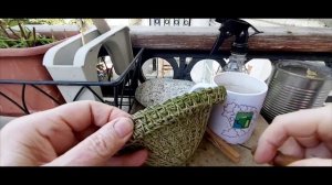 ПЛЕТЕНИЕ ИЗ СОСНОВЫХ ИГЛ