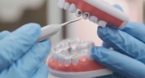 ... Что мы знаем про Зубы....