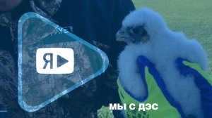 МЫ С ДЭС / Новоуренгойские натуралисты в экспедиции на Ямбургском месторождении