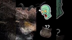 @ShindrMindr_Official хочу жрать и на диване лежать