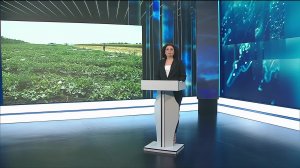 11.44 «Вести.Адыгея»