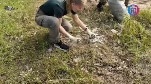 Когнитивная Витаминка Выпуск № 257