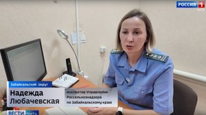 Сотрудники Россельхознадзора проводят фитосанитарный контроль на границе