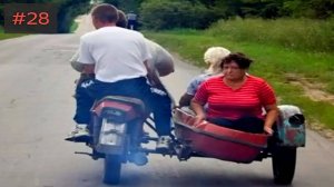 Я ржал до слез 😂 20 Минут смеха 2025  Смешные видео Приколы с животными!Подборка #27