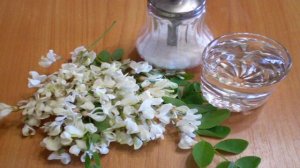 Чай из акации