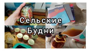 ПОКУПКИ ПОКУПОК🛒Хроника Дня