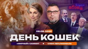 Вечерний Абзац | День кошек. «Мирный» саммит.  Сленг легализовали