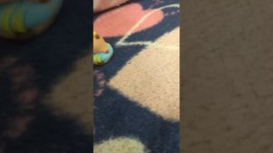 Фильм бешаная капибара. Выпуск 1