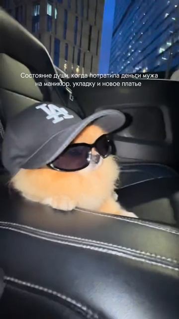 Мечты сбываются, главное верить 🙌😅