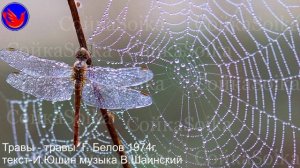 Травы - травы 1974 год (Без росы и трава не растет. В.И.Даль Земледелие)