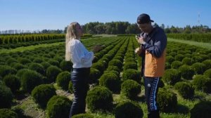 Ирина Любченко – Питомник туй Ирины Любченко / Лайфхаки для начинающих питомниководов. Часть 1