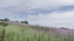 СУП 2023. 12 видео из 12.