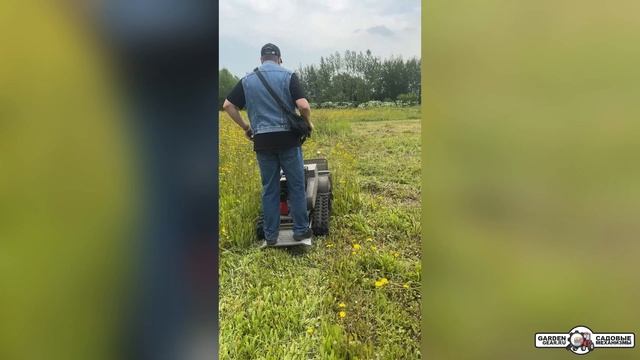 Цеповая гусеничная косилка для высокой травы и кустов Caiman Rolo 390C-T в работе смотреть онлайн