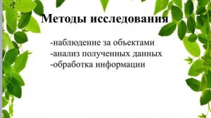 Академия увлеченных_Мой любимый лесопарк