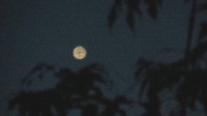 Далёкие "звёзды"