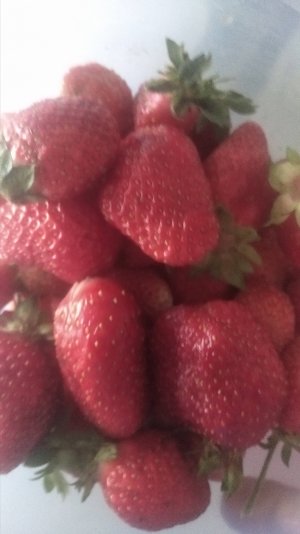 О СЕБЕ ЛЮБИМОЙ ..........