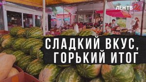 Как правильно выбрать арбуз