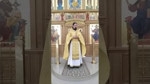 Память прав. Анны, матери Богородицы. Об особом промысле Божием. Проповедь о. Вячеслава. 7.8.25