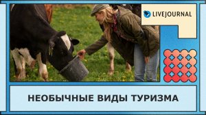 Вы точно не пробовали ТАК отдыхать!