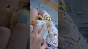 Пальмуша😁😊