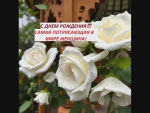 С днем рождения! Женщине