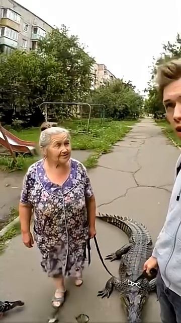 Создаем вечную видео рекламу вашему бизнесу смотреть онлайн