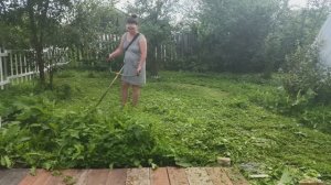 Часть 8 первый покос газона из клевера