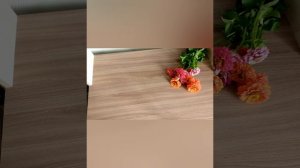 СП " Вязальный переполох"
Лето 2025