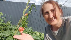 Вырываю помидоры. Покупки. Новые цветы