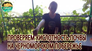 Проверяем кислотность почвы на побережье Черного моря