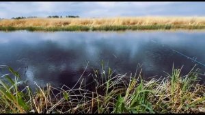 оз. Уелги как всегда радуют