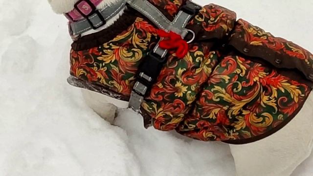 Внезапно. Пусковая установка.