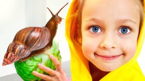 Песенка о домашнем зоопарке — детские стишки и песенки для детей | Майя и Маша+Детские сборники