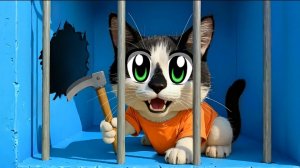 ШКОЛЬНЫЕ истории МОИХ ПОДПИСЧИКОВ! ВЕСЕЛЫЕ ИСТОРИИ со ШКОЛЫ КОТОВ