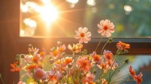 Доброго дня с пожеланиями добра 🌞