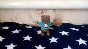 Знакомство с басиками🐱