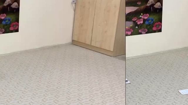 Занятие с ребенком 2,5 лет по беспереводной методике