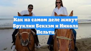 Как на самом деле живут Бруклин Бекхэм и Никола Пельтц