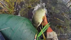 ЛОВЛЮ на БОЛОТЕ