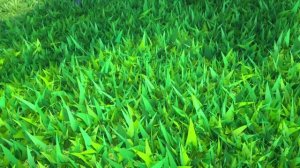 Агент Джи-Джи Бонд. Дино истории