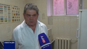 ОРЕНБУРЖЦЫ ОТМЕЧАЮТ ВСЕМИРНЫЙ ДЕНЬ КОШЕК