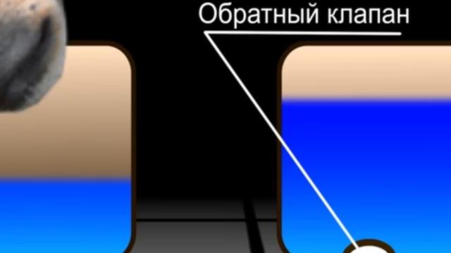 Работа обратного клапана